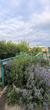 
  Продается дом 87 м². Фото 18.