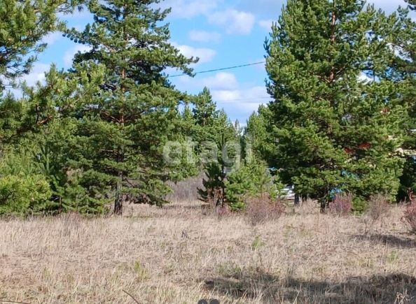
  Продается земельный участок 8 соток. Фото 2.