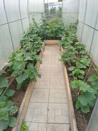 
  Продам дачу 26.6 м². Фото 16.