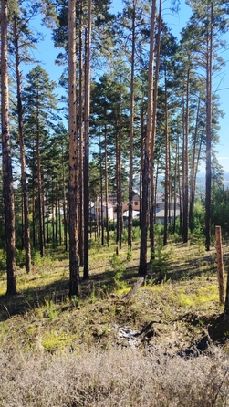 
  Продам земельный участок 8 соток. Фото 2.