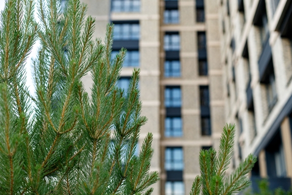 
  Продается 2-комн. квартира, 45.52 м², ЖК Стрижи Сити, блок-секции 6,7
. Фото 21.