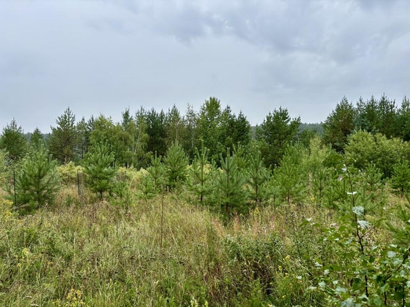 
  Продается дом, 337 м², Иркутск
. Фото 3.