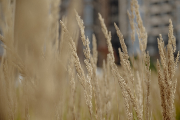 
  Продается 1-комн. квартира, 53.54 м², ЖК Сибиряков, блок-секция 8
. Фото 12.