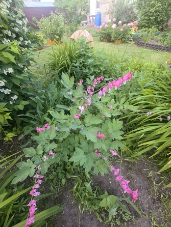 
  Продается дом, 296 м², Ангарск
. Фото 26.