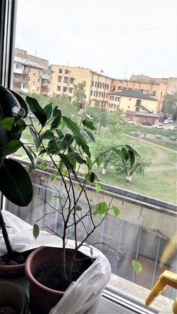 
  Сдается 2-комн. квартира, 44 м², Красная ул, д. 10А
. Фото 4.