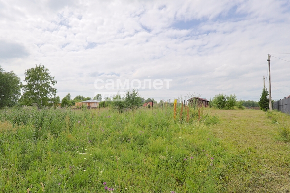 
  Продается земельный участок, 20 соток, село Ягуново
. Фото 12.