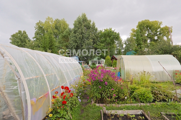 
  Продается дача, 20 м², Кемерово
. Фото 28.