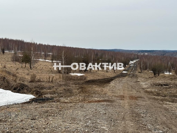 
  Продается земельный участок, 1740 соток, поселок Центральный
. Фото 12.
