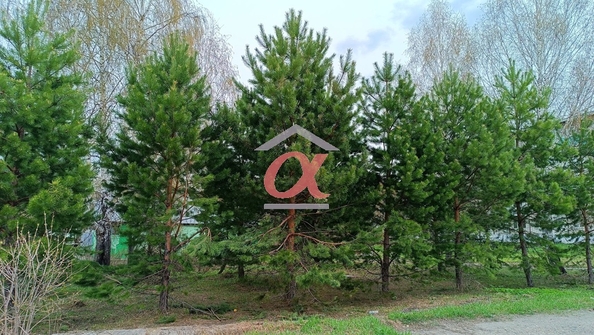 
  Продается 3-комн. квартира 61.5 м². Фото 34.