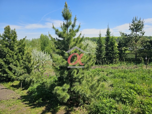 
  Продается дом 17.2 м². Фото 19.