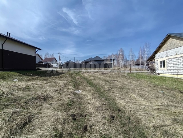 
  Продам  дачный участок, 8 соток, Каменка село

. Фото 5.