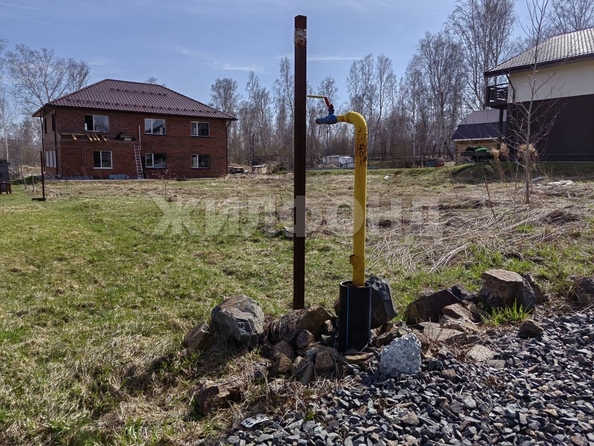 
  Продам  дачный участок, 8 соток, Каменка село

. Фото 8.