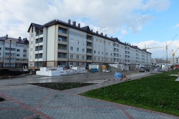 
   Продам 2-комнатную, 48 м², Фламинго, дом 21

. Фото 8.