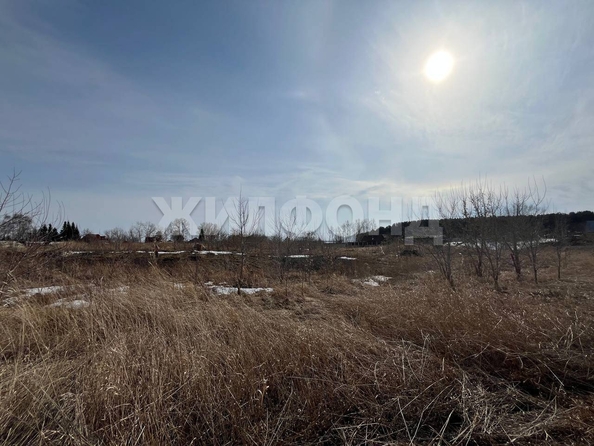 
  Продам  дачный участок, 15 соток, Береговое

. Фото 2.