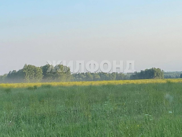 
  Продается земельный участок, 1300 соток, рабочий поселок Мошково
. Фото 5.