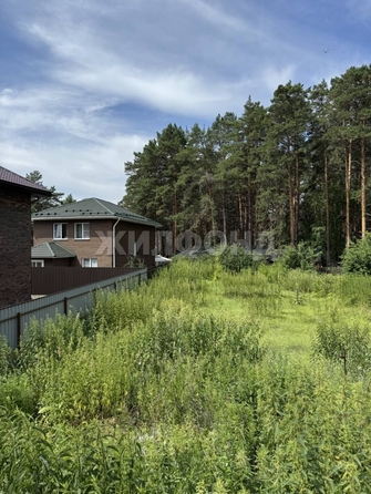 
  Продается земельный участок, 10 соток, Новосибирск
. Фото 4.
