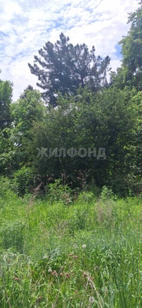 
  Продается земельный участок, 8 соток, дачный поселок Мочище
. Фото 4.