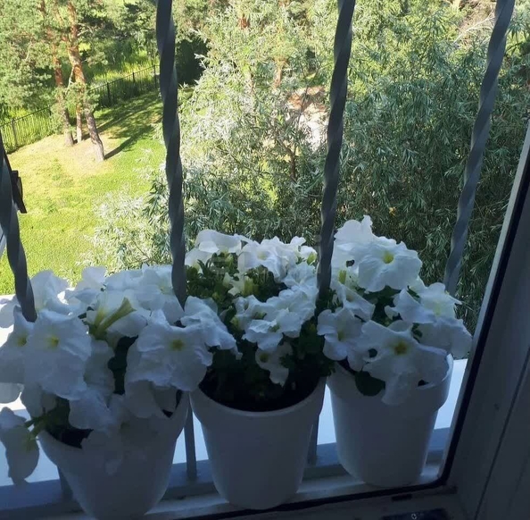 
   Продам 3-комнатную, 120 м², Победы ул, 55/1

. Фото 28.