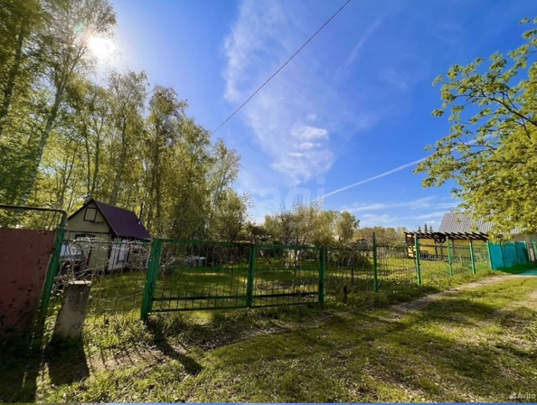 
  Продам дачу, 8.75 соток, Новосибирск

. Фото 9.