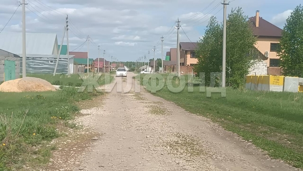
  Продается земельный участок, 10 соток, село Скала
. Фото 3.