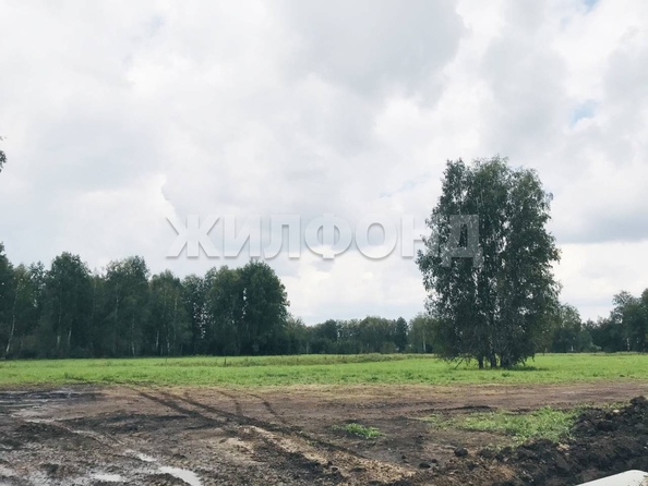 
  Продам  дачный участок, 7.92 соток, Сибирские просторы ДП

. Фото 10.