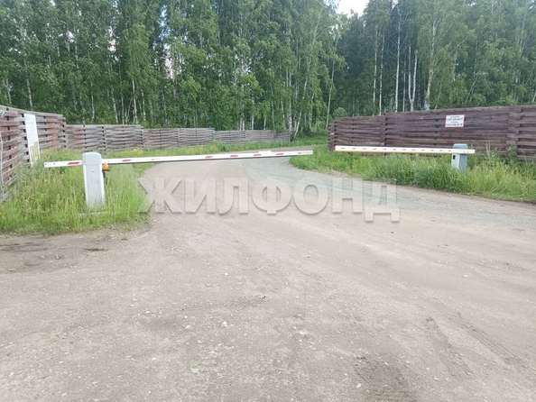 
  Продам  дачный участок, 11.7 соток, Индия КП

. Фото 2.