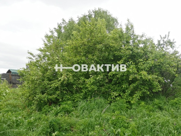 
  Продается земельный участок, 5.5 соток, Новосибирск
. Фото 3.