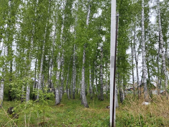 
  Продается земельный участок, 8 соток, село Марусино
. Фото 3.