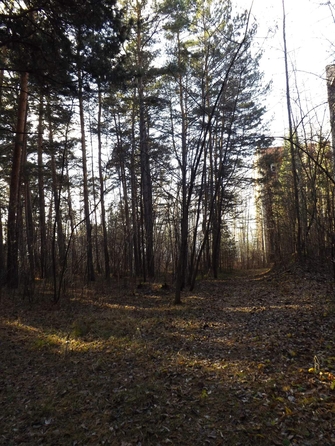 
  Продам  участок ИЖС, 800 соток, Бердск

. Фото 1.