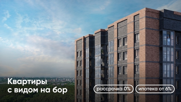 
   Продам 1-комнатную, 27.63 м², Белкин

. Фото 6.
