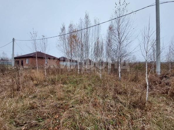 
  Продам  дачный участок, 10 соток, Садовый пос

. Фото 2.