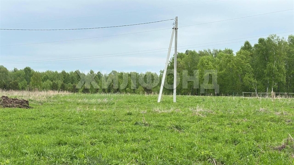
  Продается земельный участок, 10 соток, село Морозово
. Фото 1.