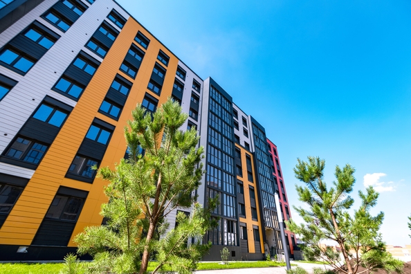 
   Продам 2-комнатную, 50.1 м², Фламинго, дом 22

. Фото 10.