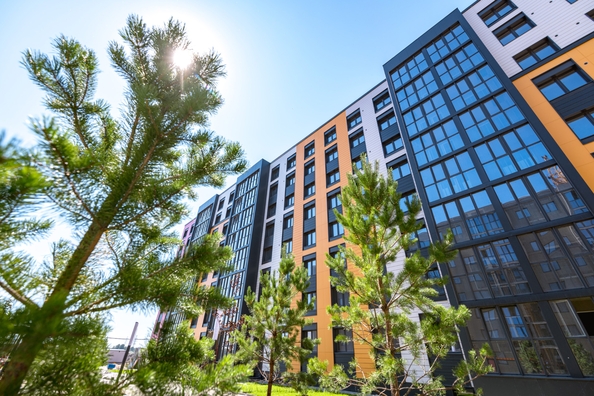 
   Продам 2-комнатную, 50.1 м², Фламинго, дом 22

. Фото 11.