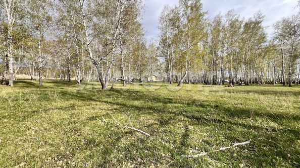 
  Продам  дачный участок, 10 соток, Пайвино

. Фото 2.