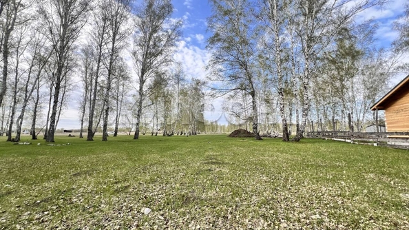 
  Продам  дачный участок, 10 соток, Пайвино

. Фото 4.