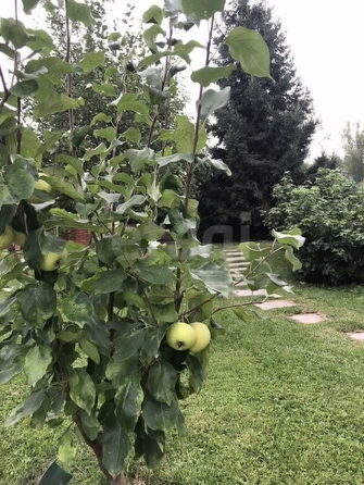 
  Продается дача, 69 м², Новосибирск
. Фото 10.