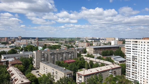 
  Продается студия, 26.8 м², ЖК Эрмитаж
. Фото 17.