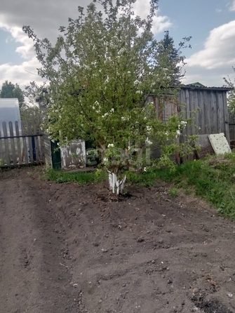 
  Продается дача, 45 м², СНТ Лайнер
. Фото 10.