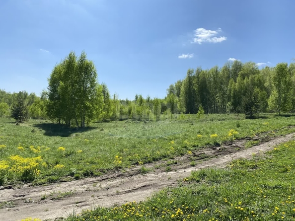 
  Продается дом, 103.5 м², садовое товарищество Ратник
. Фото 18.