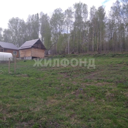 
  Продается земельный участок, 9.99 соток, СНТ Вера (Барышевский сельсовет)
. Фото 3.