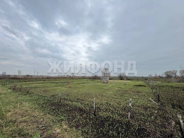 
  Продается земельный участок, 12 соток, село Криводановка
. Фото 1.
