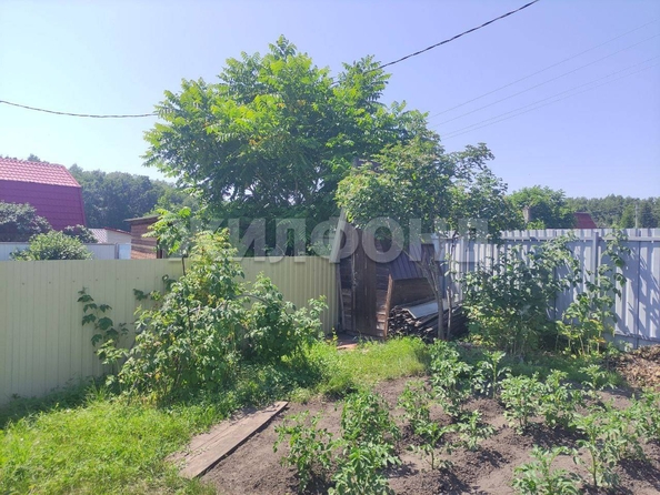 
  Продается дача, 40 м², садовое товарищество Солнечный (Морской сельсовет)
. Фото 12.