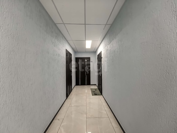 
  Сдается 2-комн. квартира, 53.7 м², Светлановская ул, д. 52
. Фото 33.