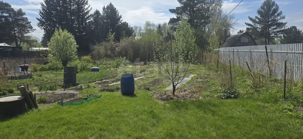 
  Продается дача, 32 м², СНТ Электрон (Кубовинский сельсовет)
. Фото 19.