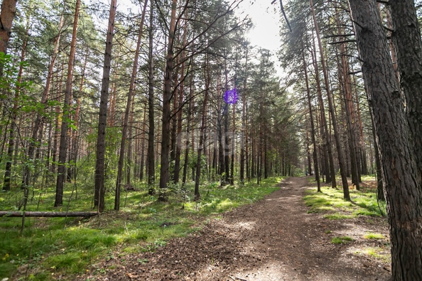 
  Продается студия, 26 м², Морская ул, д. 44к4
. Фото 27.