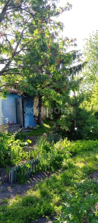 
  Продается дача, 20 м², село Криводановка
. Фото 1.