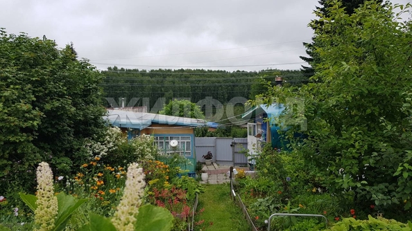 
  Продается дача, 35 м², станция Мочище
. Фото 6.