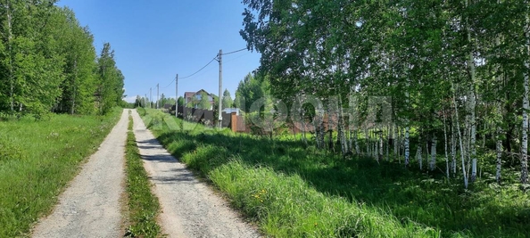 
  Продается земельный участок, 48 соток, ДНТ Синегорье
. Фото 11.