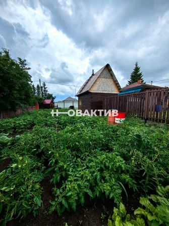 
  Продается дом, 17.6 м², рабочий поселок Колывань
. Фото 22.